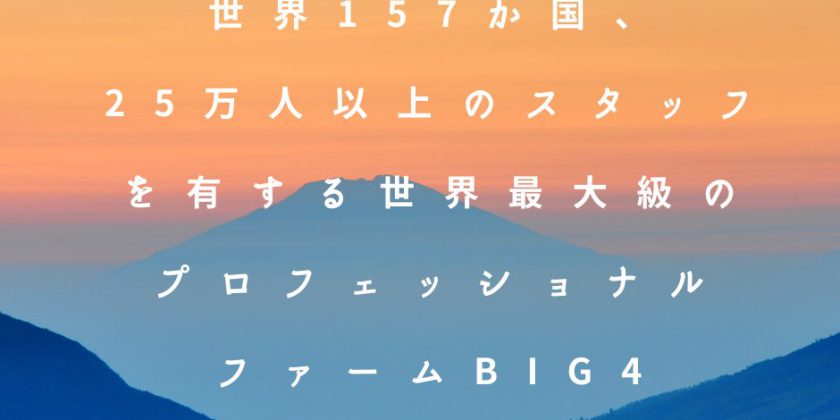 セキュリティエンジニア 世界最大級のプロフェッショナルファーム Big4系【案件番号：A052】